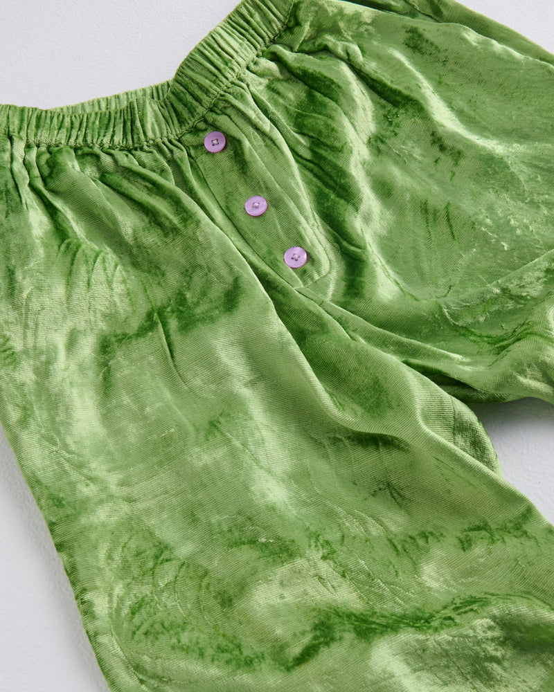 Pistachio Adult Velvet Long Sleeve Shirt & Pant Pyjama Set