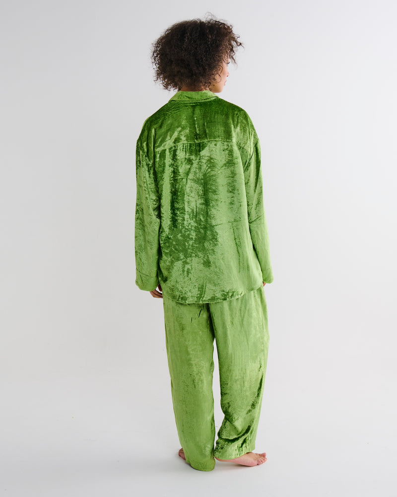 Pistachio Adult Velvet Long Sleeve Shirt & Pant Pyjama Set