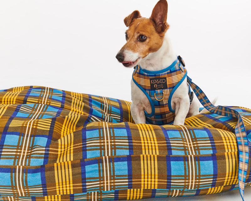 Cosy Tartan Dog Lead
