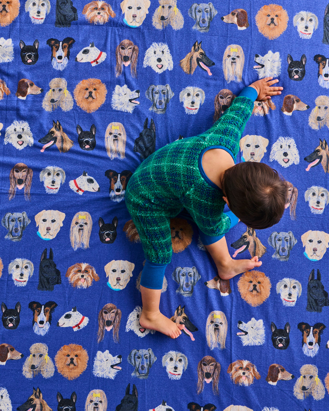 Dog Park Blue Flannelette Baby Fitted Sheet