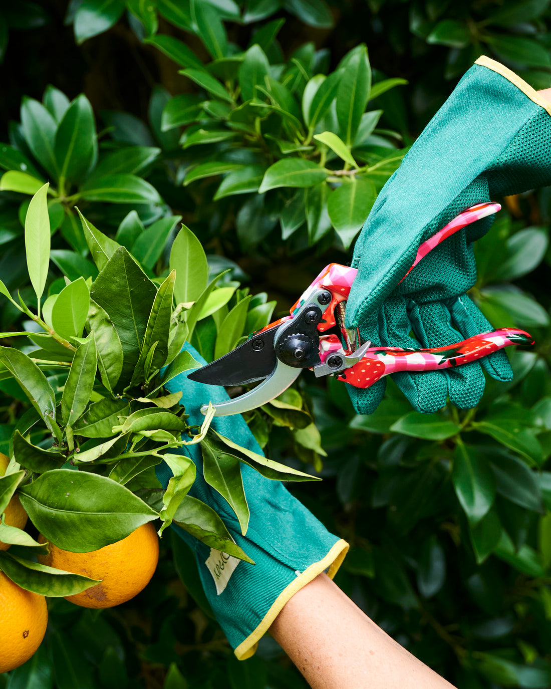 Strawberry Jam Garden Secateurs and Gloves Set